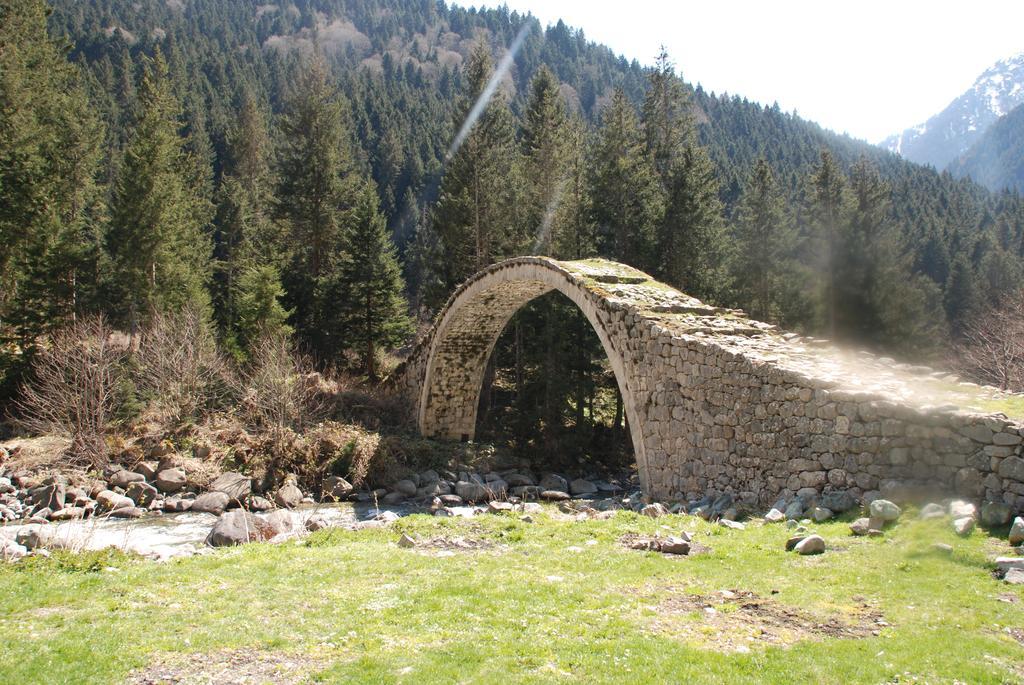 Ayder Umit Hotel 외부 사진